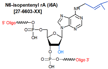 picture of N6-isopentenyl-rA (i6a)